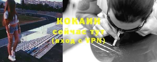 бошки Аркадак