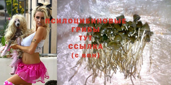 крисы Балахна