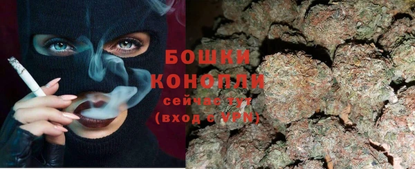 бошки Аркадак